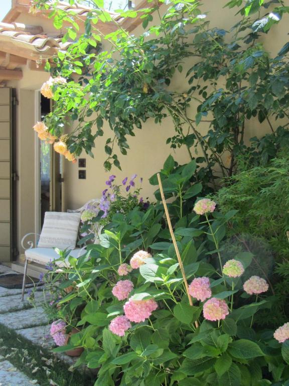 Casina Le Conserve Cesenatico Zewnętrze zdjęcie