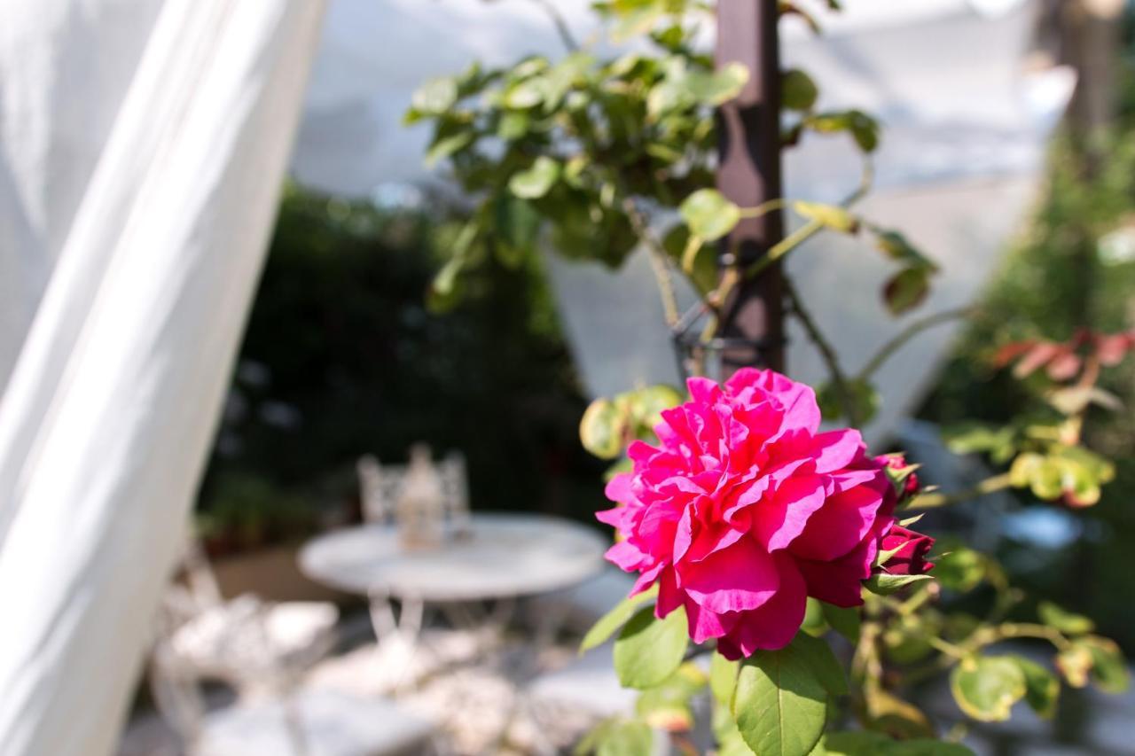 Casina Le Conserve Cesenatico Zewnętrze zdjęcie